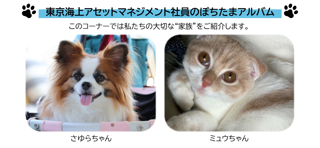 TMAMぽちたまアルバム